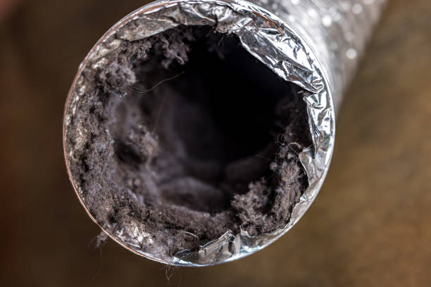 Best HVAC Duct Inspection Services  in Davenport, IA